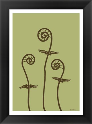 Framed Dichromatic Fiddleheads III Print