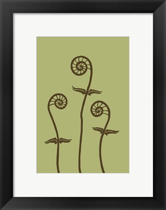 Framed Dichromatic Fiddleheads III Print