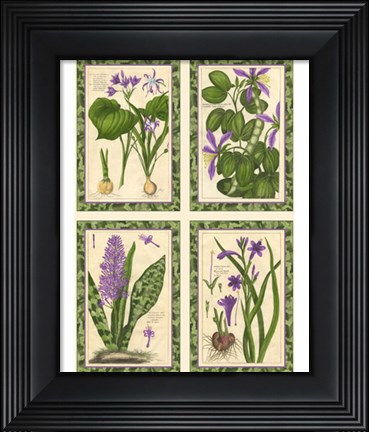 Framed Ruby Florals Print