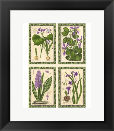 Framed Ruby Florals Print