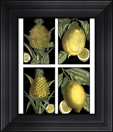 Framed Miniature Fruit Print
