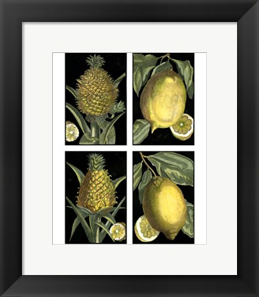 Framed Miniature Fruit Print