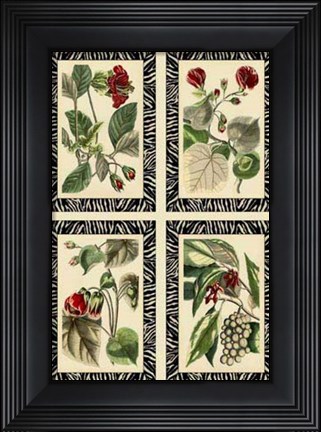 Framed Mini Zebra Botanicals Print