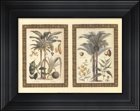 Framed Mini Palms in Rattan Print