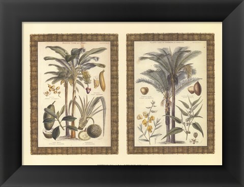 Framed Mini Palms in Rattan Print