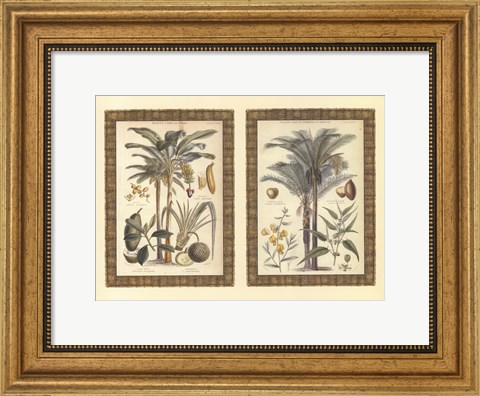 Framed Mini Palms in Rattan Print