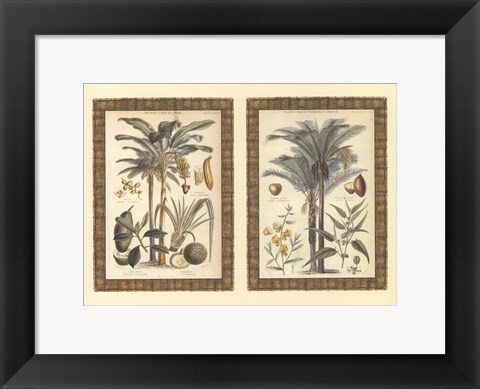 Framed Mini Palms in Rattan Print