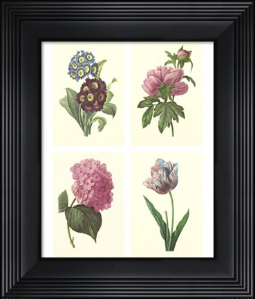 Framed Mini Boudoin Florals Print