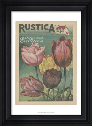Framed Plantez Des Tulips Print