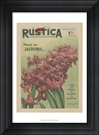 Framed Plantez Des Jacinthes Print