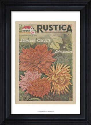 Framed Plantez Des Decoratifs Print