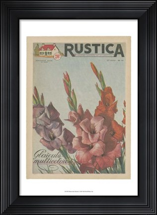 Framed Plantez Des Glaieuls Print