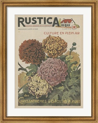 Framed Plantez Des Chrysanthemes Print