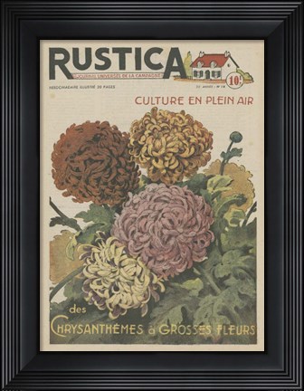 Framed Plantez Des Chrysanthemes Print