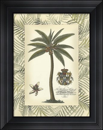 Framed Palm in Bamboo Frame I Print
