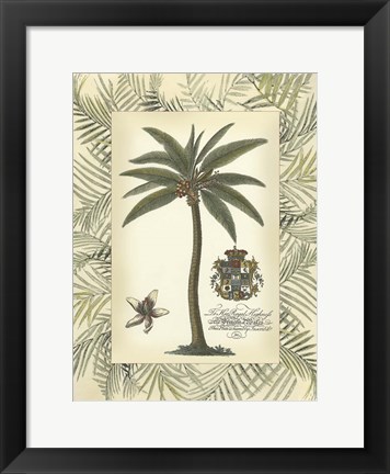 Framed Palm in Bamboo Frame I Print