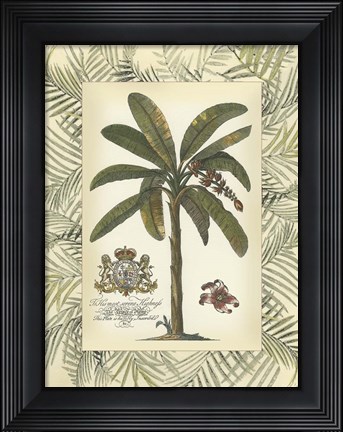 Framed Palm in Bamboo Frame II Print