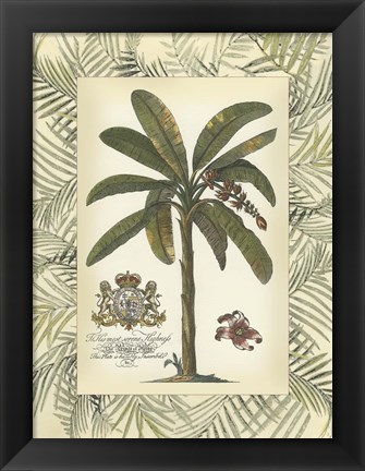 Framed Palm in Bamboo Frame II Print