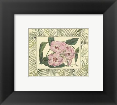 Framed Tropical Flowers in Bamboo II (horizontal) Print