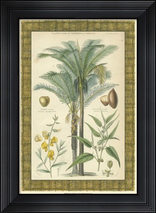 Framed Palms in Bamboo I Print
