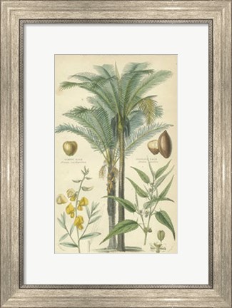 Framed Palms in Bamboo I Print