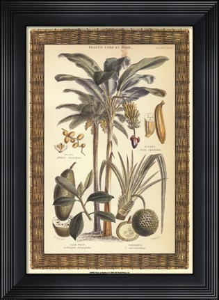 Framed Palms in Bamboo II Print