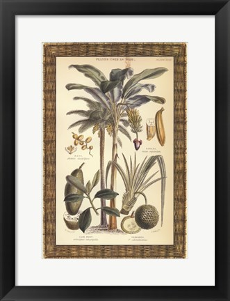 Framed Palms in Bamboo II Print