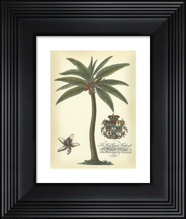 Framed Palm and Crest I Print