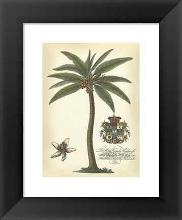 Framed Palm and Crest I Print