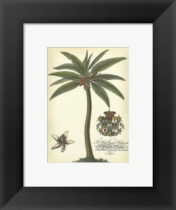 Framed Palm and Crest I Print