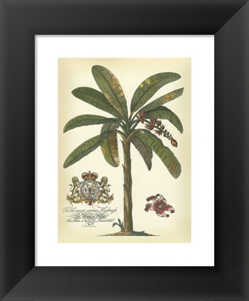 Framed Palm and Crest II Print