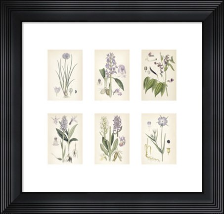Framed Purple Botanicals Print
