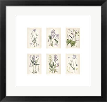 Framed Purple Botanicals Print