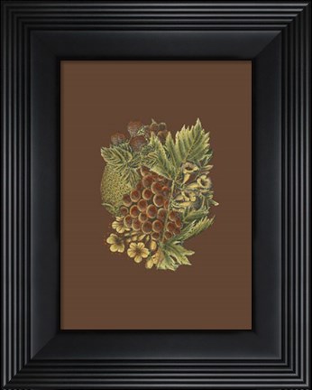 Framed Fruit on Burgundy I Print