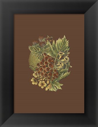 Framed Fruit on Burgundy I Print