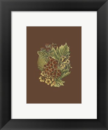 Framed Fruit on Burgundy I Print