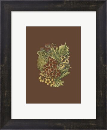 Framed Fruit on Burgundy I Print