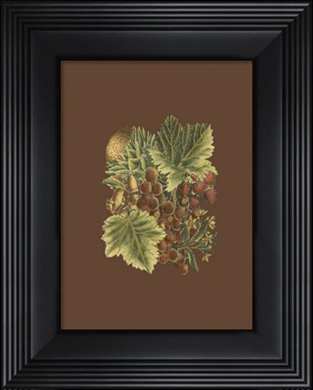Framed Fruit on Burgundy II Print
