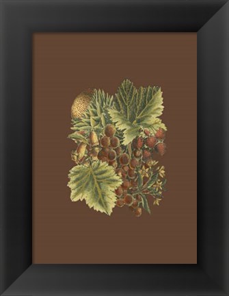 Framed Fruit on Burgundy II Print