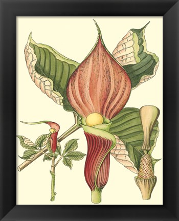 Framed Botanical Fantasy I Print