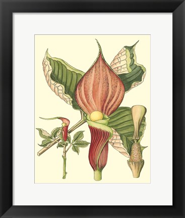 Framed Botanical Fantasy I Print