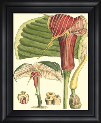 Framed Botanical Fantasy II Print