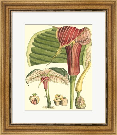 Framed Botanical Fantasy II Print
