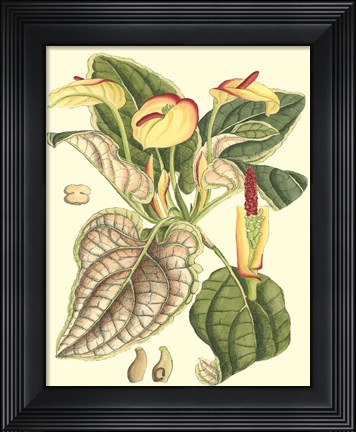 Framed Botanical Fantasy III Print