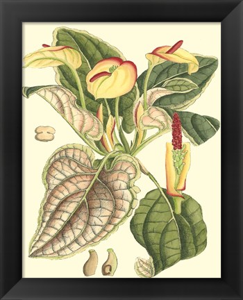Framed Botanical Fantasy III Print
