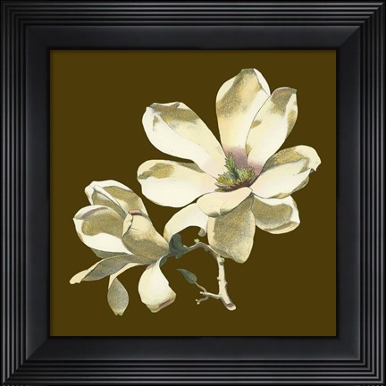 Framed Magnolia on Taupe I Print