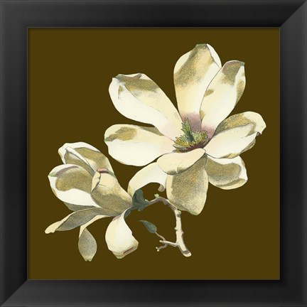 Framed Magnolia on Taupe I Print