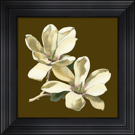 Framed Magnolia on Taupe II Print