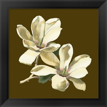 Framed Magnolia on Taupe II Print