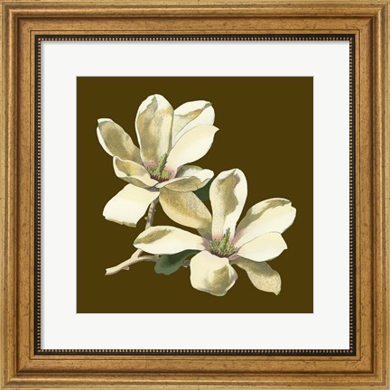 Framed Magnolia on Taupe II Print